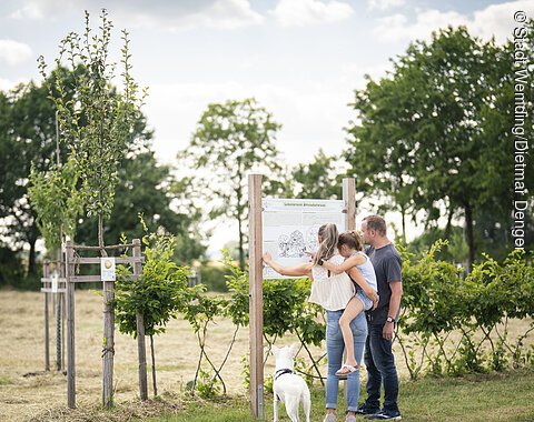 Besuch im Obstlehrgarten Eine Familie steht an einer Informationstafel im botanischen Obstlehrgarten.