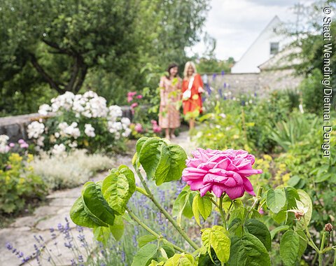 Zwei Freundinnen laufen im Rosengarten.