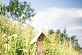 Ein Insektenhotel steht auf der Wiese im botanischen Obstlehrgarten.
