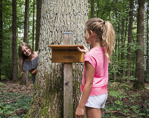 Zwei Mädchen stehen an einem Baum im  Walderlebnispfad.
