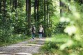 Zwei Freundinnen machen einen Spaziergang durch den Wald.