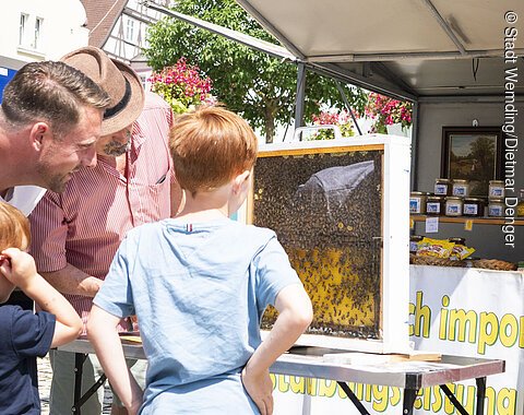 Drei Personen betrachten einen Honigwaben vom Bienenzuchtverein auf dem Wochenmarkt in Wemding.