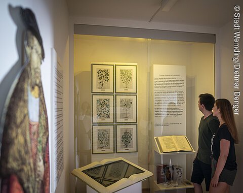 Ein Paar betrachtet die Ausstellung in der Geopark-Infostelle.