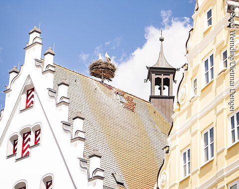Das Storchennest auf dem historischen Rathaus an einem sonnigen Tag.