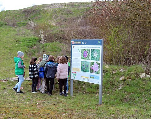 Eine Gruppe Kinder steht vor einer großen Informationstafel.