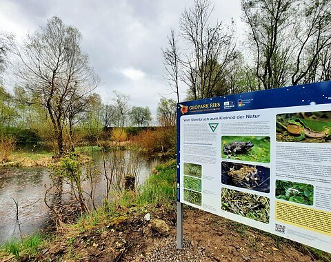 An einem kleinen See steht eine Informationstafel mit Bildern von Kröten.