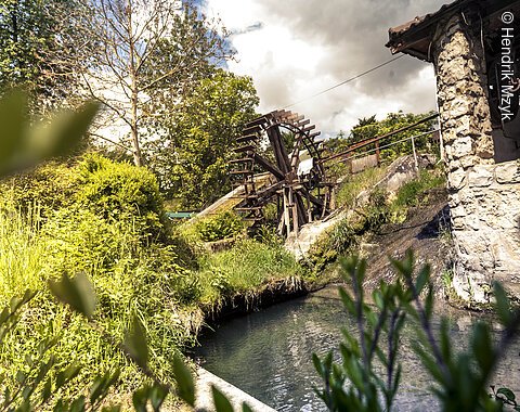 Man sieht einen Bach mit einer alten Mühle. Viele Pflanzen wachsen am Ufer.