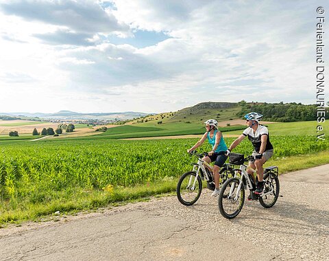 Zwei Radfahrer auf einer Teerstraße. Dahinter ein grünes Feld.
