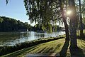 Abendblick mit Sonneneinstrahlung am Ufer des Waldsees
