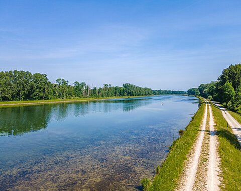 Lech bei Rain Der Lech und ein ein Weg der neben dem Fluss verläuft