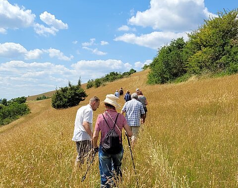 Eine Menschengruppe steift durch ein Feld am Blasienberg
