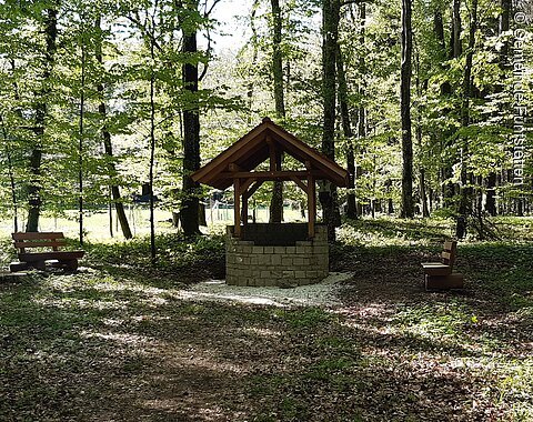Ein Brunnen umgeben von Bäumen