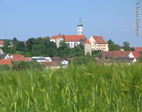 Bissinger Schlosshügel mit Schloss und Pfarrkirche.