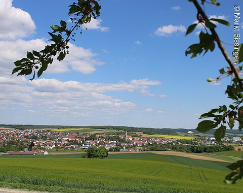 In der Ferne ist der Markt Bissingen erkennbar
