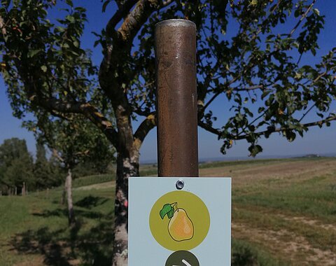 Wegtafel auf der Streuobstwiese