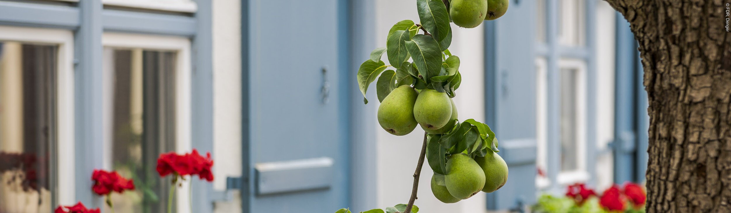 Altstadt Nördlingen