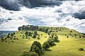 Hügelige Landschaft mit grünen Wiesen, vereinzelten Bäumen und bewölktem Himmel.