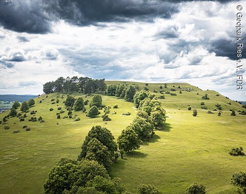 Hügelige Landschaft mit grünen Wiesen, vereinzelten Bäumen und bewölktem Himmel.