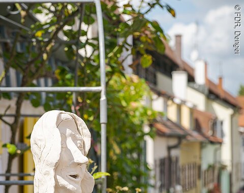 Ein Gitter, an dem Rosen wachsen steht vor der alten Stadtmauer in Nördlingen.