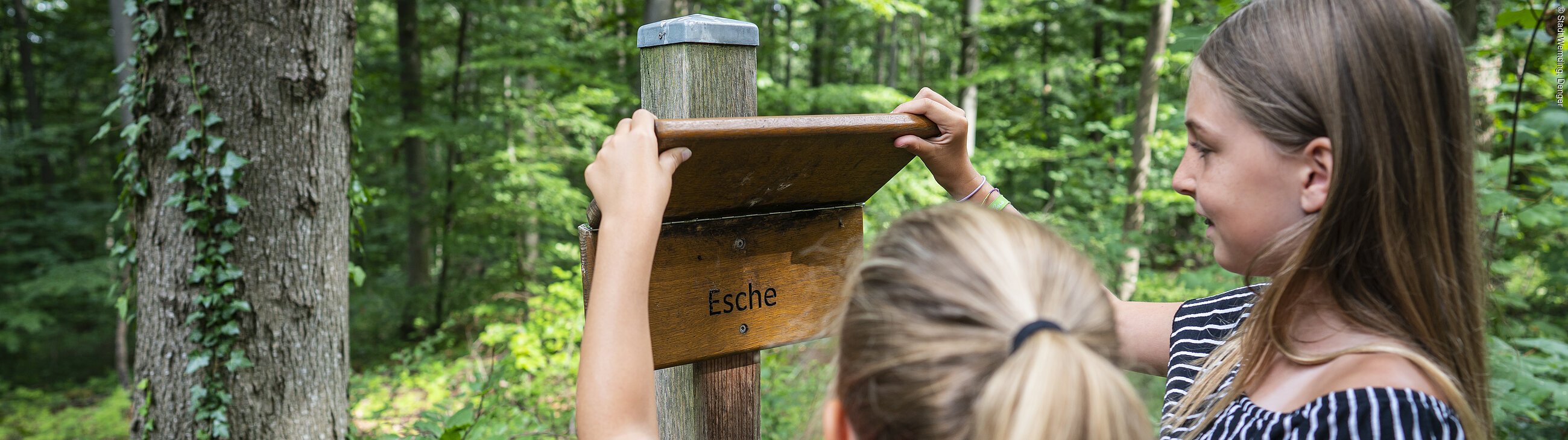 Walderlebnispfad Wemding