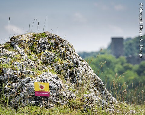 Nahe der Burgruine Niederhaus Eine Wanderwegbeschilderung des Ries-Panoramawegs nahe der Ruine Niederhaus. Im Hintergrund sieht man die Ruine Niederhaus.