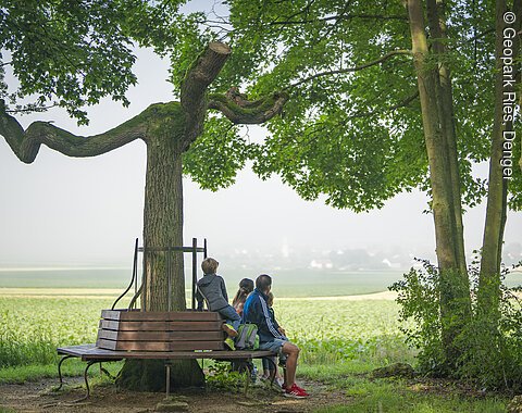 Eine Gruppe von Menschen sitzt auf einer Bank, die um einen Baum herum gebaut ist, mit Blick auf eine weite Landschaft.