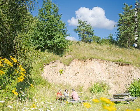 Menschen sitzen auf einer grünen Wiese mit gelben Blüten. Im Hintergrund eine steinige wand.