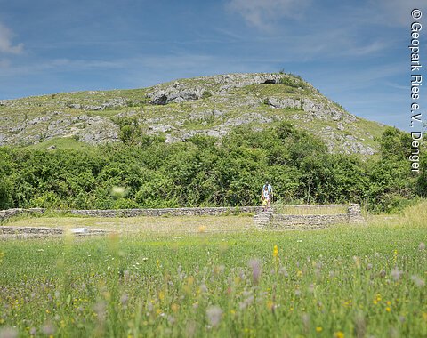 Wiese mit blühenden Wildblumen, im Hintergrund ein Hügel mit Felsen und Büschen, blauer Himmel.