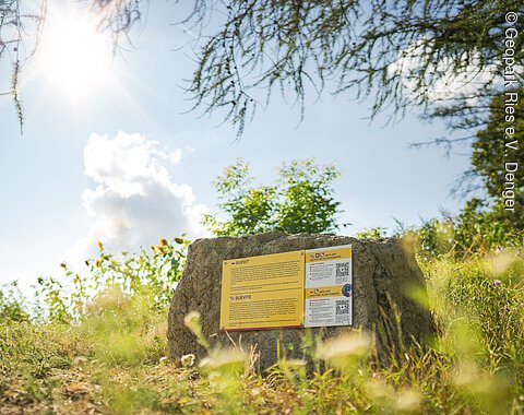 Ein Stein mit einer Infotafel über "Suevit" steht in einer sonnigen, bewachsenen Landschaft.
