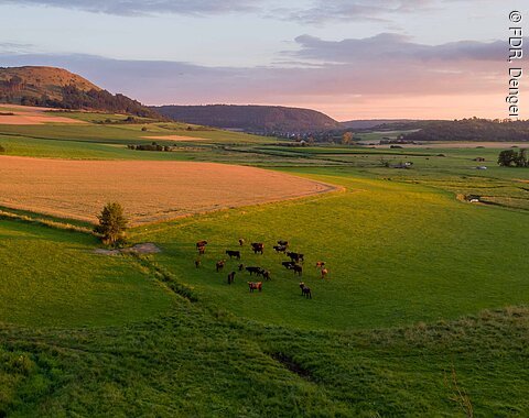 Man sieht einen Fluss mit vielen Abzweigungen, der durch grüne Wiesen fließt. Im Hintergrund ein Berg.