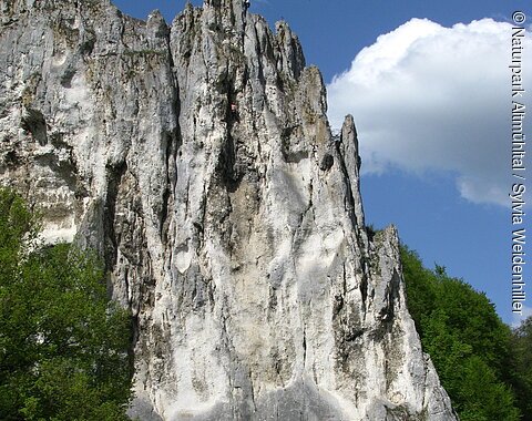 Felsformation mit steiler weiß-grauer Oberfläche, davor Wiese, Bäume und Verkehrsschilder bei blauem Himmel.
