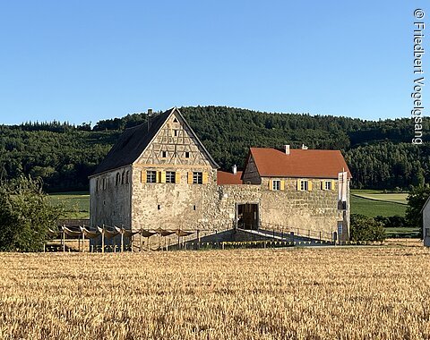 Blick auf das Wasserschloss Trochtelfingen Altes Schloss mit roten Dächern und gelben Fensterläden vor Wald und blauem Himmel, im Vordergrund Getreidefeld.