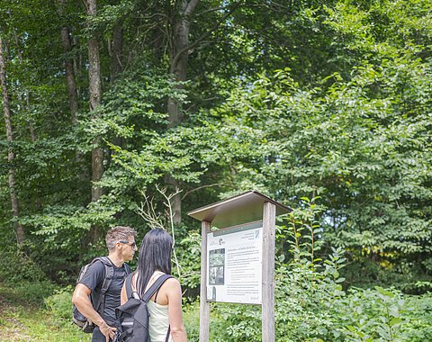 Monheim-Im Wald bei Wittesheim -Shooting 2021 Zwei Personen mit Rucksäcken lesen eine Informationstafel am Waldrand auf einem Wanderweg.