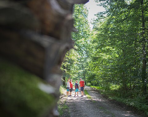 Monheim - Im Wald bei Wittesheim - Shooting 2021 Vier Personen stehen auf einem Waldweg, umgeben von grünen Bäumen, eine Person zeigt nach oben.