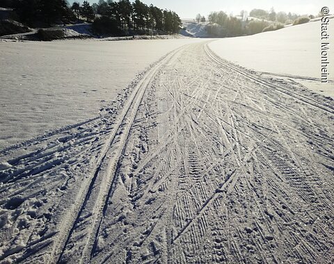 Schneebedeckte Wiese mit Spuren von Skiern und Fahrzeugen für den Langlauf, Bäume im Hintergrund bei Sonnenlicht.