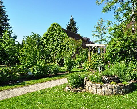 Ein Kreislehrgarten mit verschiedenen Pflanzen und Bäumen, einem Steinbeet rechts im Vordergrund, grünem Rasen und einem mit Efeu bewachsenen Haus im Hintergrund, unter blauem Himmel. Ein Schotterweg führt durch den Garten.