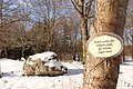 Baum mit Schild „Wälder gehen den Völkern voran, die Wüsten folgen ihnen“ im verschneiten Wald mit Felsen im Hintergrund.