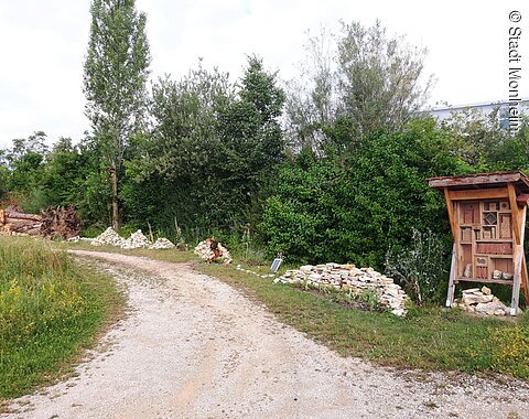 Schotterweg mit Steinhaufen und Insektenhotel rechts im Bild vor dichtem Grün unter bewölktem Himmel.
