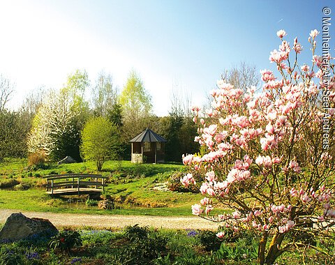 Herzlich Willkommen im Waldpark Huisheim Park mit blühendem Magnolienbaum, kleiner Holzbrücke über Bach und Pavillon im Hintergrund bei Sonnenschein