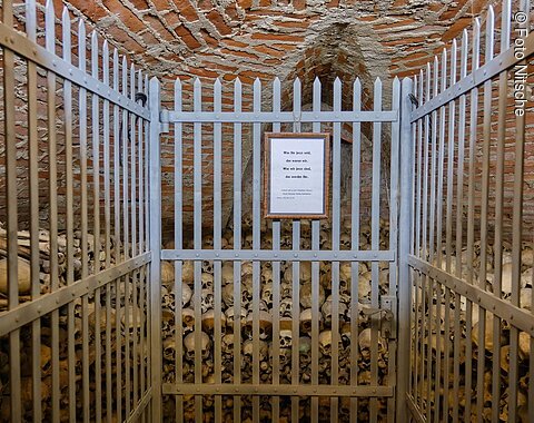 Knochen und Schädel hinter einem Metallgitter in einem Gewölbekeller mit Ziegeldecke und einem Schild daran.