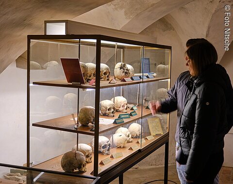 Zwei Personen betrachten eine beleuchtete Vitrine mit mehreren menschlichen Schädeln im Karner.