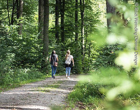Zwei Freundinnen machen einen Spaziergang durch den Wald.