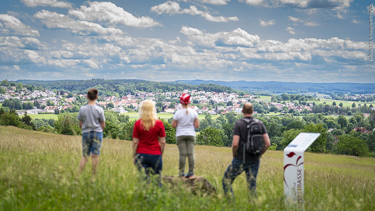 Wanderer bei Oettingen Vier Personen stehen auf einer Wiese und blicken auf eine Stadtlandschaft in der Ferne.
