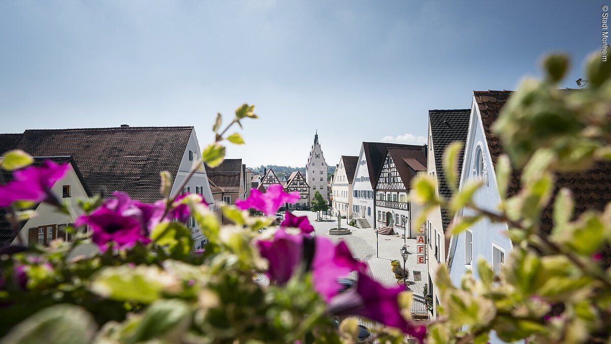 Aussicht aus dem Rathaus auf die Historische Monheimer Innenstadt Blumen unscharf im Vordergrund, dahinter eine Straße einer Altstadt mit Fachwerkhäusern und einem zentralen Turm-Gebäude mit einer Uhr.