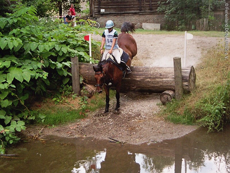 Ein Reiter mit seinem Pferd beim Sprung über den Wassergraben
