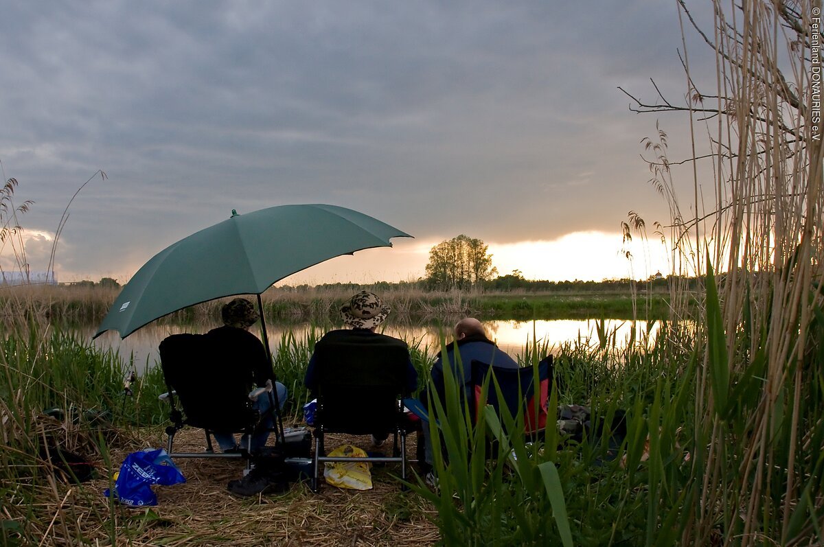 Drei Angler sitzen am Ufer der Wörnitz bei Oettingen und angeln