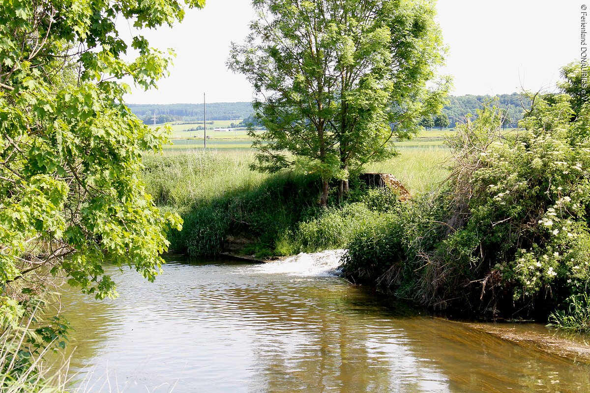 Blick auf die Angelmöglichkeit an der Eger in Lierheim mit Mündung der Wörnitz