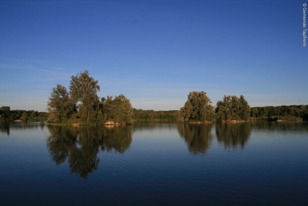 Tapfheimer Seen Blick auf einen See mit Bäumen am Ufer.