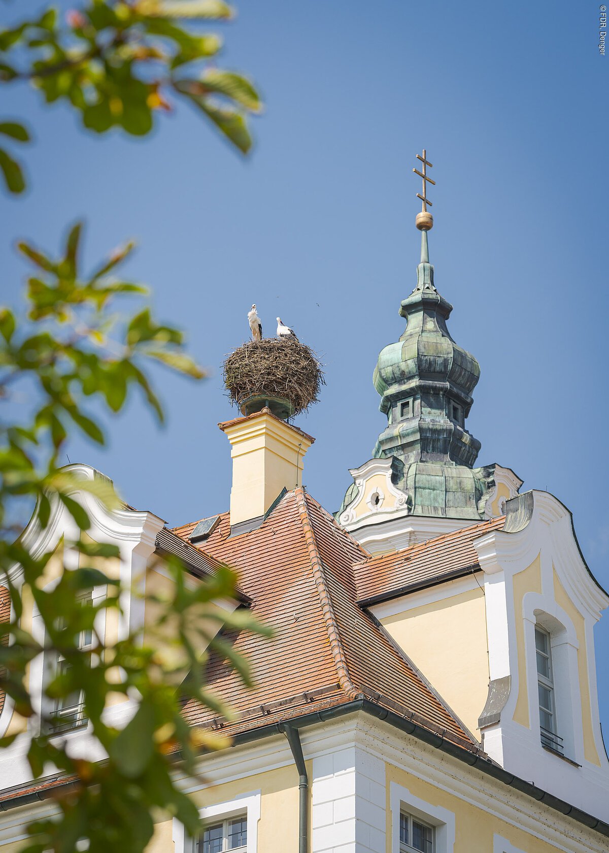 Zwei Störche in einem Nest auf einem Schornstein eines Gebäudes mit Turm und blauem Himmel.