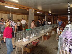 Kleintiermarkt unter Dach